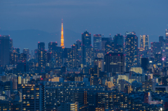 東京タワー