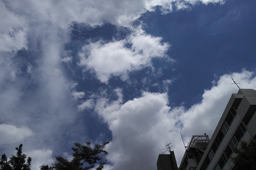 堀切菖蒲園 の空