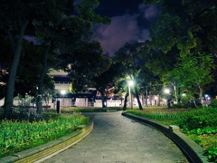 夜の公園を散歩