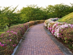 散歩道