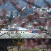 北陸新幹線と桜