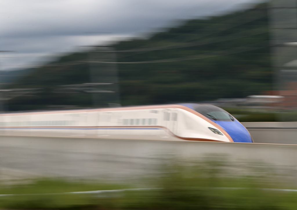 田園に大蛇現れた