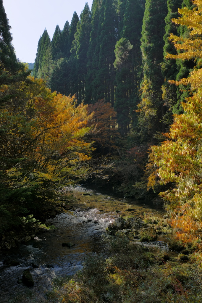 秋のせせらぎ