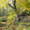 紅葉散策路の石段