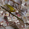 よし 次ィ～！！