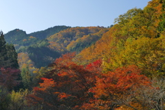 燃えだした山