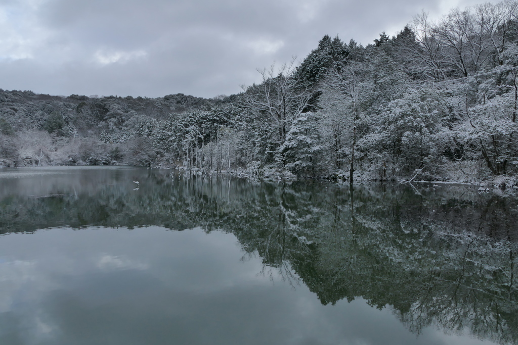 雪の溜池