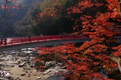 香嵐渓　遅れてきた秋色（9）