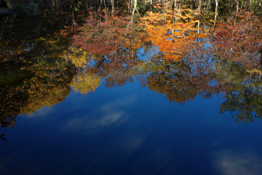 さざ波の紅葉