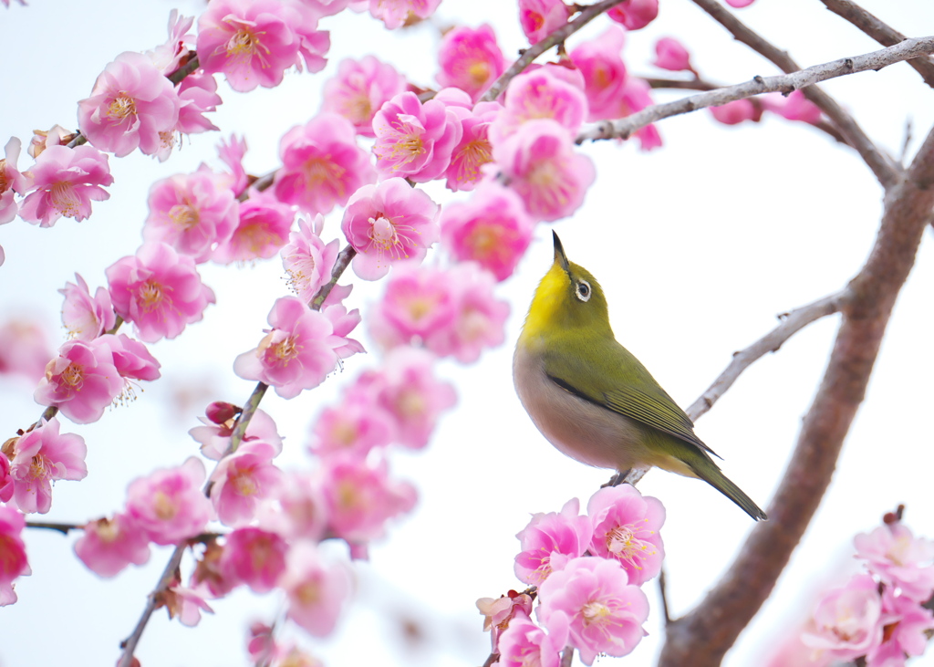 ん～ん｡｡｡幸せ♡