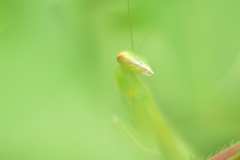 ① 暑中｡｡｡（冷えぇ～）