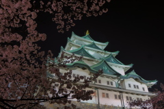 夜の名古屋城と桜（4）