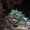 夜の名古屋城と桜（4）