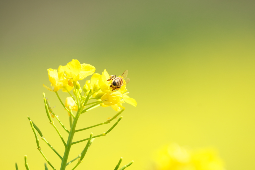 ♪～ 覚えたての蜜の味 ～♪