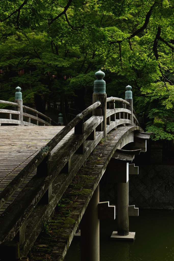 反り橋、苔情緒