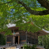 真福寺　新緑の太子堂　