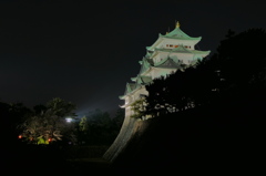 夜の名古屋城と桜（1）