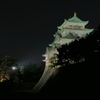 夜の名古屋城と桜（1）