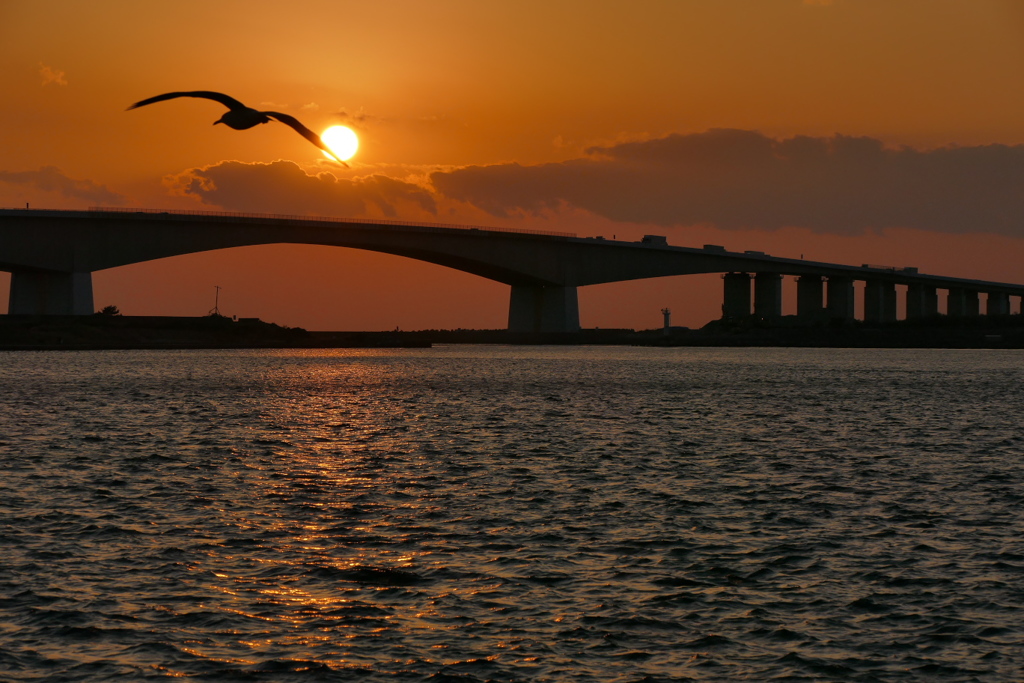 浜名大橋の夕暮れ