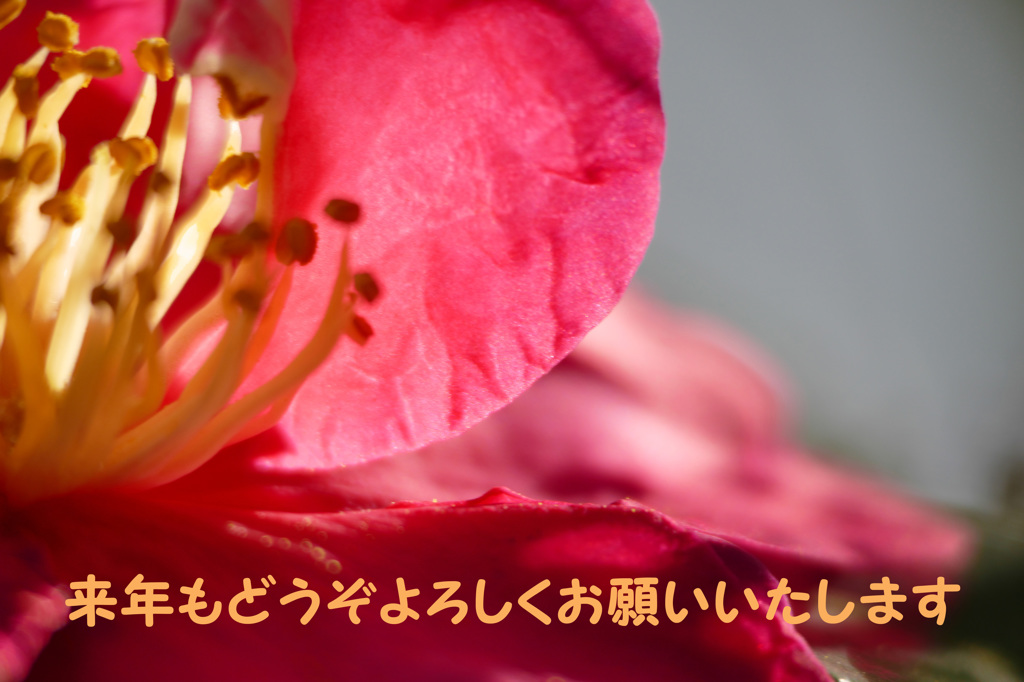 明日へ