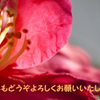 明日へ