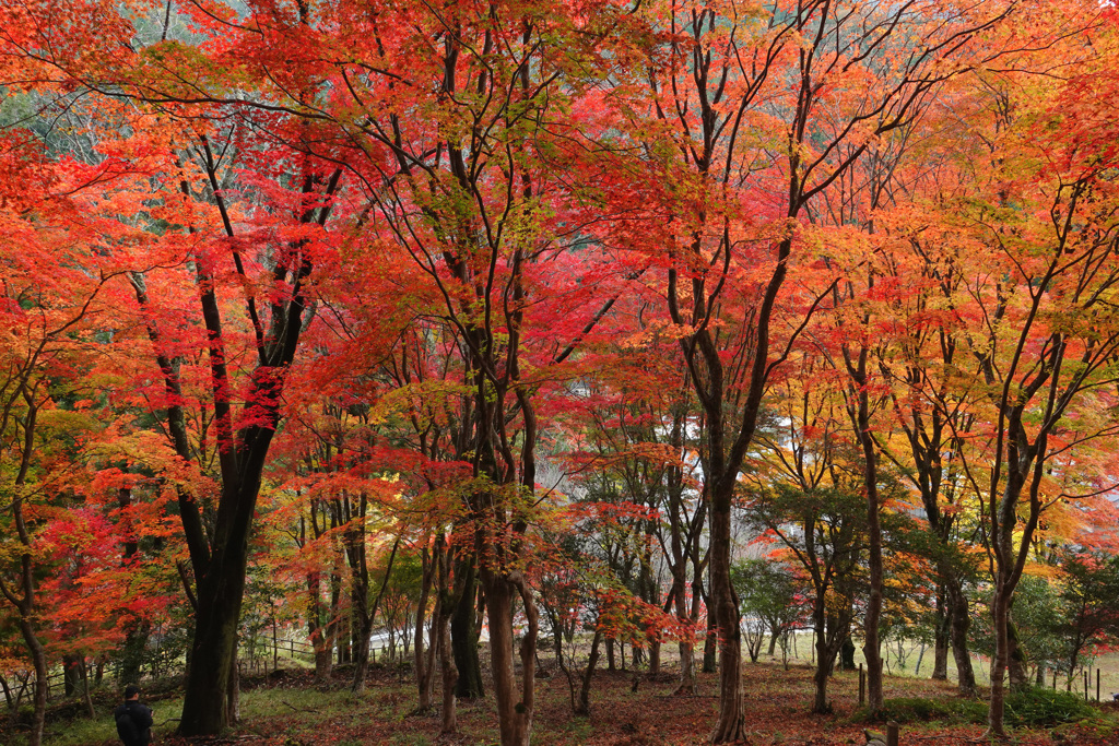 山の公園にて