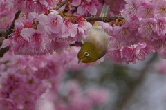 首 やわらか！！（＾＾）