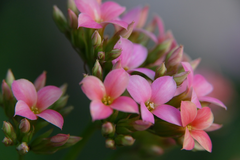 優しく包んであげたい