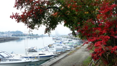 紅いハーバーサイド