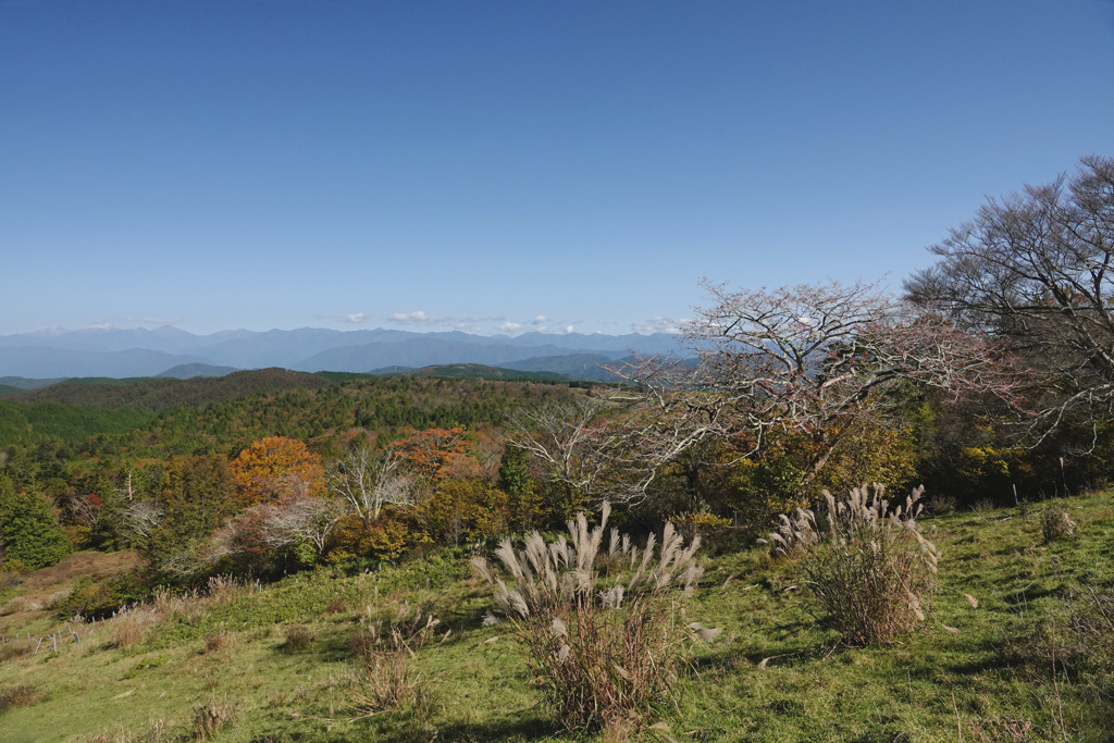 遠く山々を望む