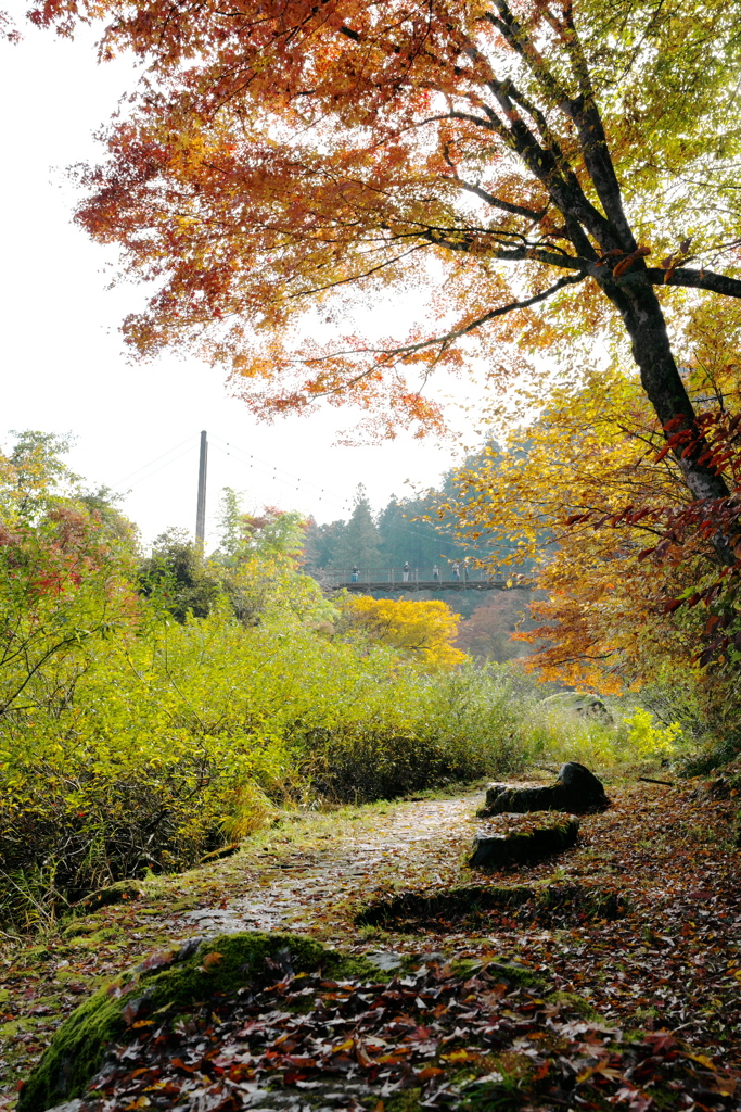 紅葉散策路