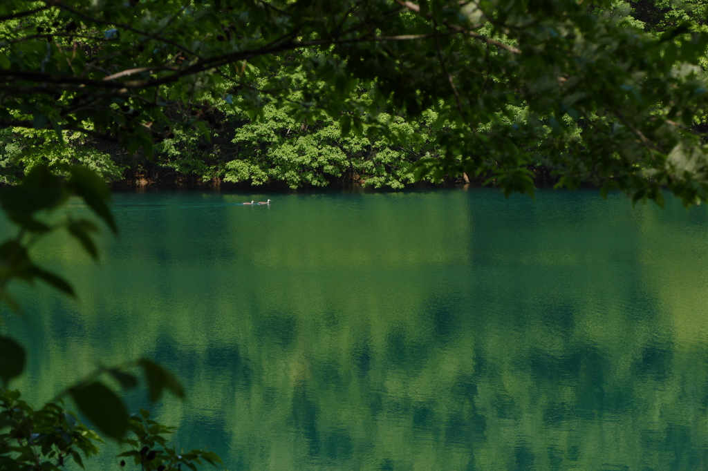 ふたりだけだね｡｡｡