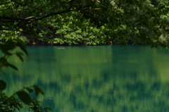 ふたりだけだね｡｡｡