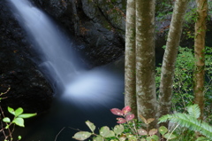 秋始めの滝（3）