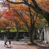 紅葉の公園散歩♪