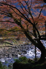 香嵐渓　遅れてきた秋色（1）