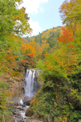 紅葉の滝