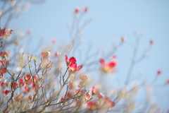 空へ
