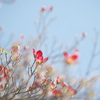 空へ