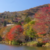 茶臼山高原の紅葉