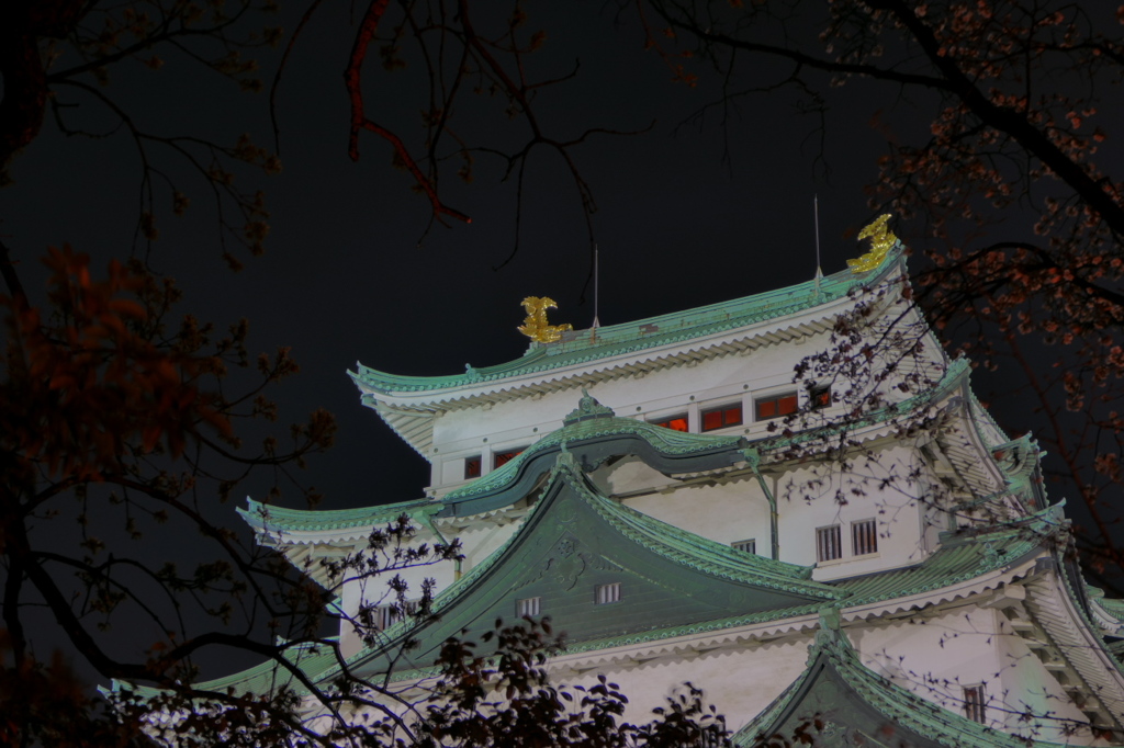 夜の名古屋城と桜（3）