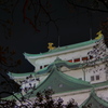 夜の名古屋城と桜（3）