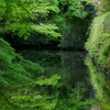 初夏のお堀