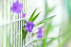 私も撮ってぇ～