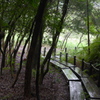 湿原へ｡｡｡
