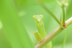 ② お見舞い申し上げます ☺