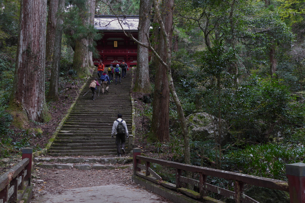鳳来寺仁王門