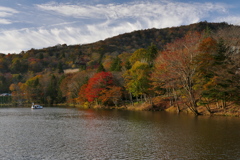茶臼山高原の池