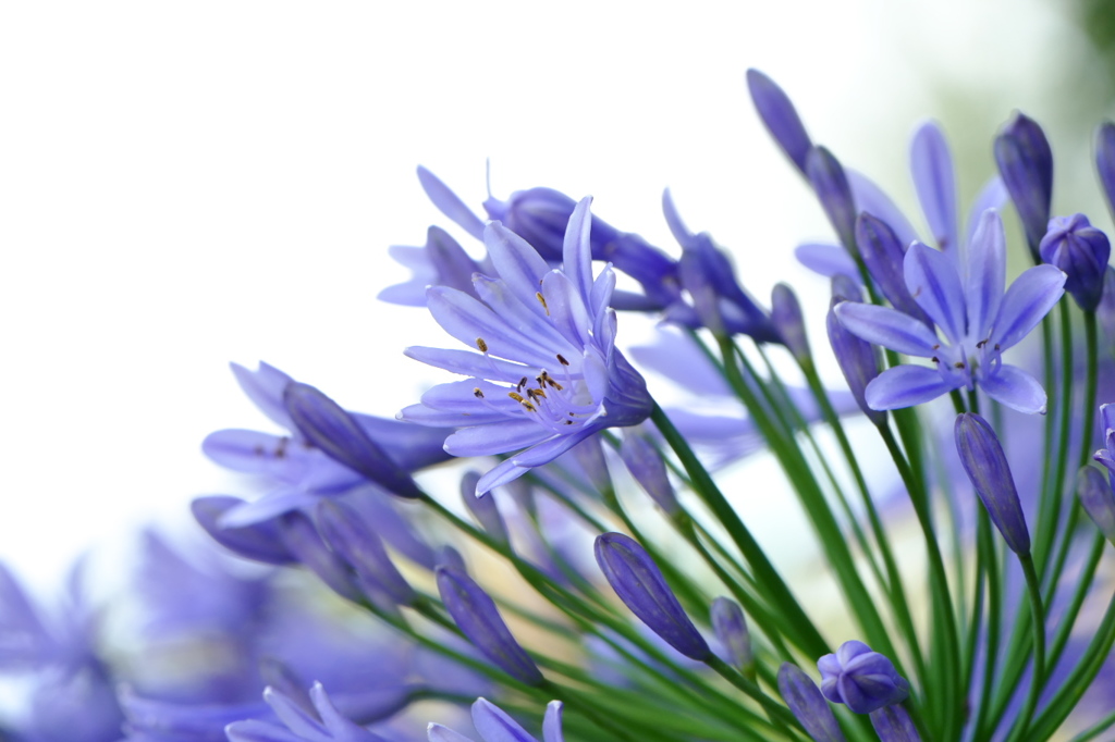 あふれる光｡｡｡