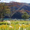 山あいの秋